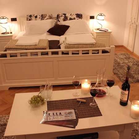 Ella Apartment Timisoara No9 Bagian luar foto