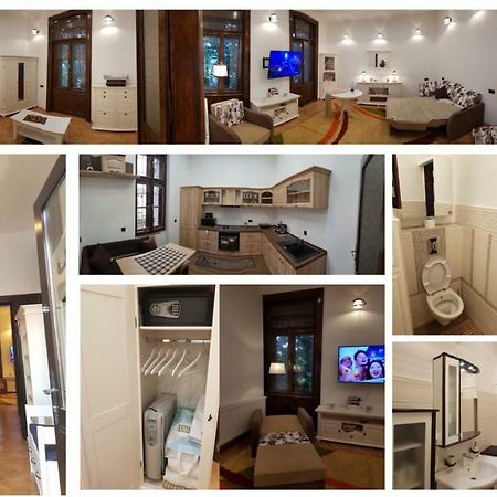 Ella Apartment Timisoara No9 Bagian luar foto