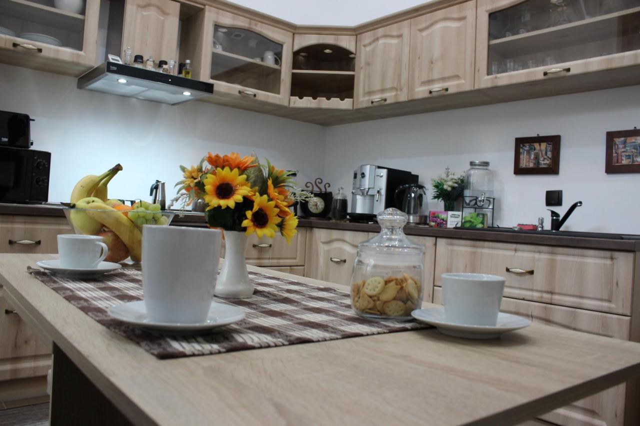 Ella Apartment Timisoara No9 Bagian luar foto