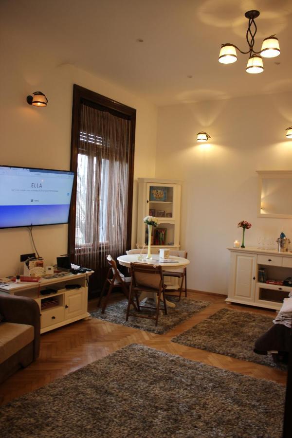Ella Apartment Timisoara No9 Bagian luar foto