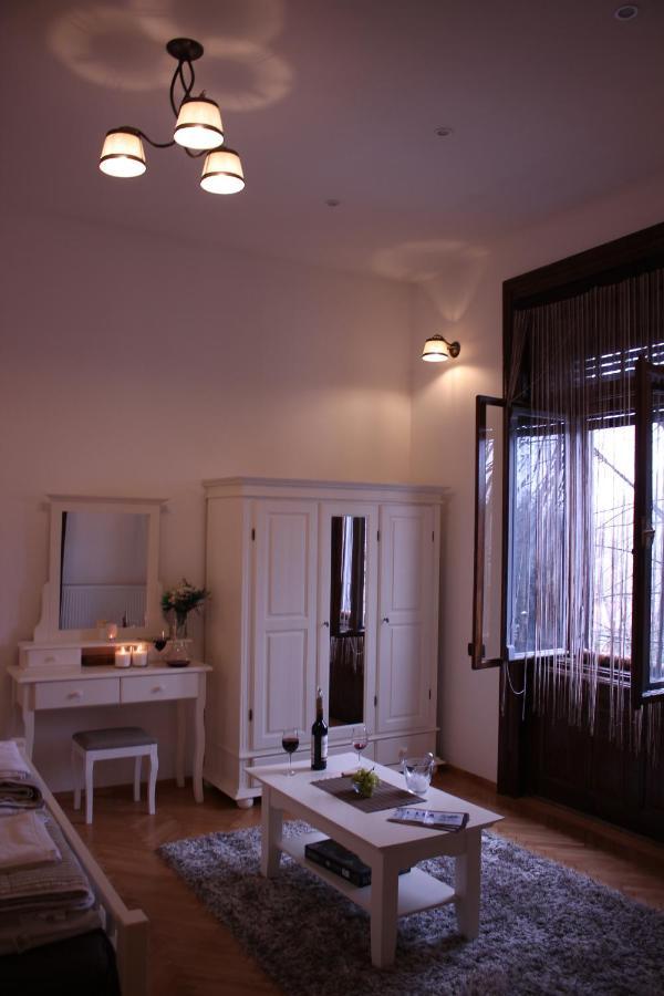 Ella Apartment Timisoara No9 Bagian luar foto