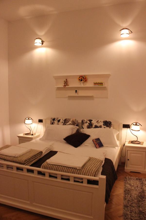 Ella Apartment Timisoara No9 Bagian luar foto