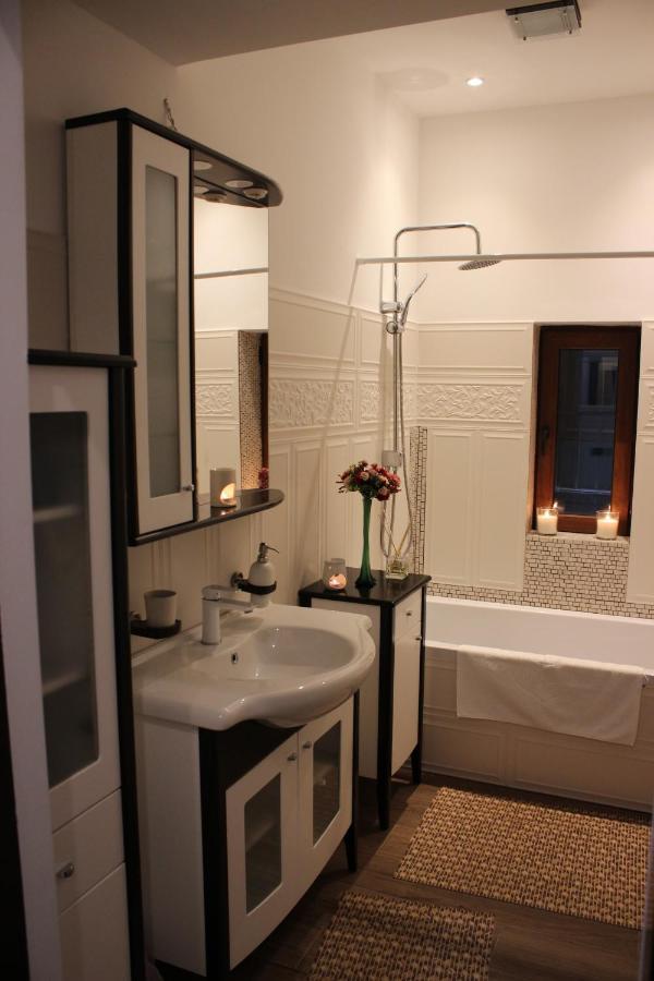 Ella Apartment Timisoara No9 Bagian luar foto