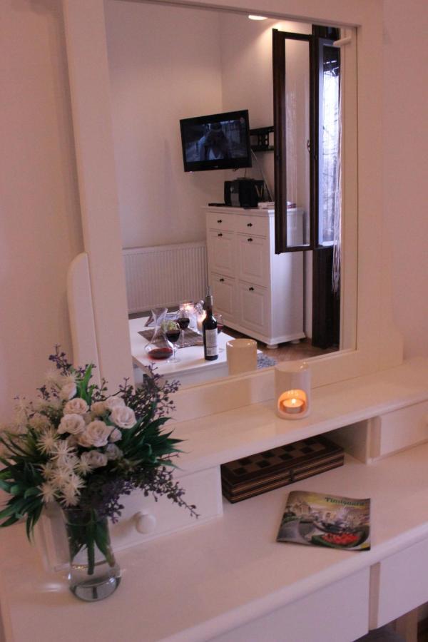 Ella Apartment Timisoara No9 Bagian luar foto