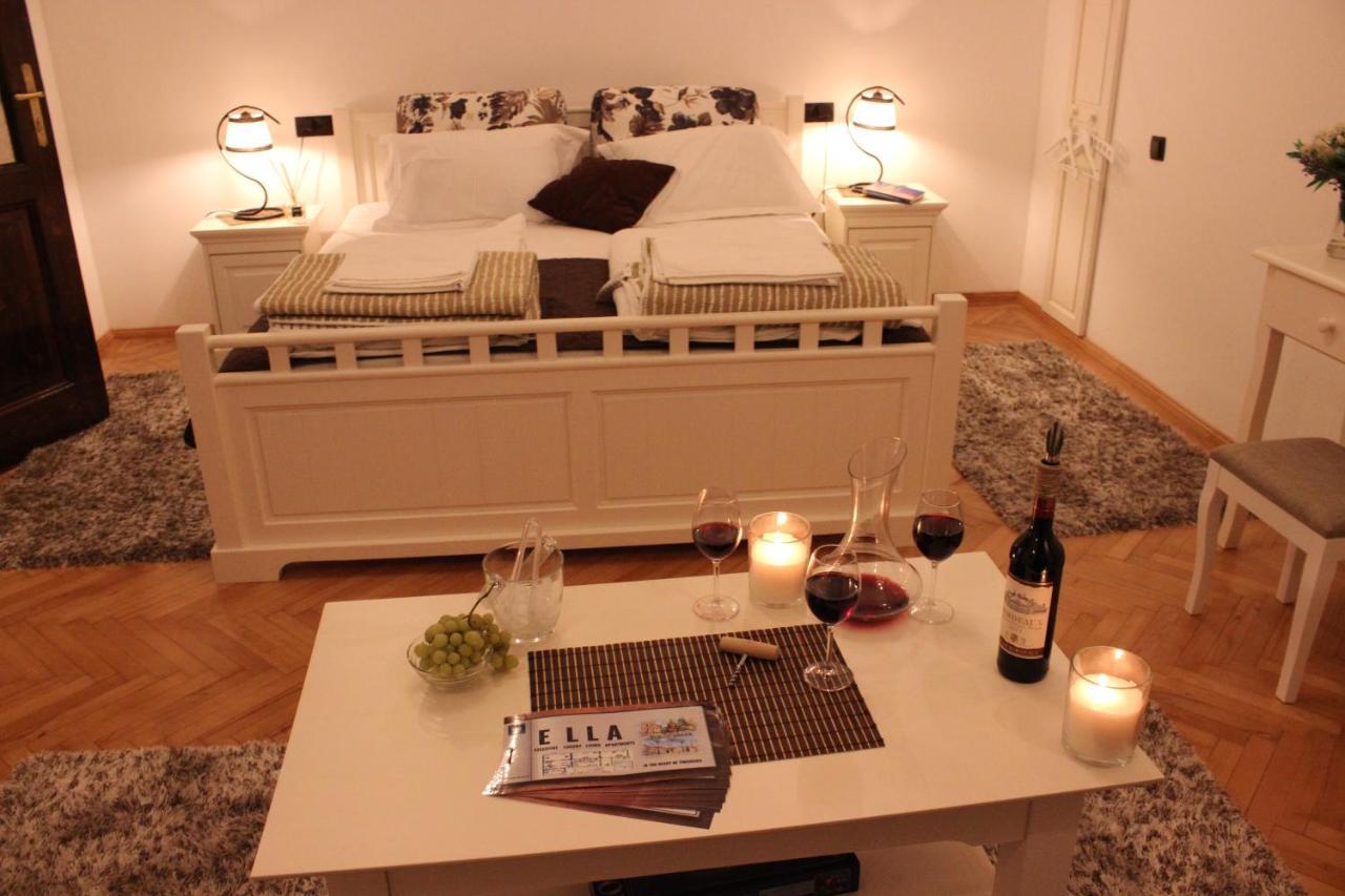 Ella Apartment Timisoara No9 Bagian luar foto