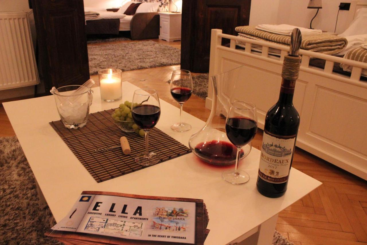 Ella Apartment Timisoara No9 Bagian luar foto