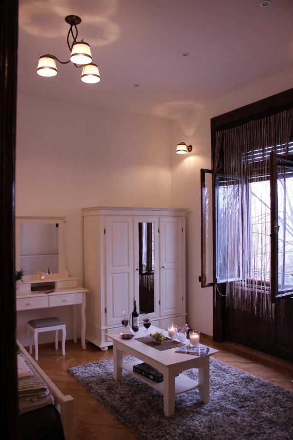 Ella Apartment Timisoara No9 Bagian luar foto