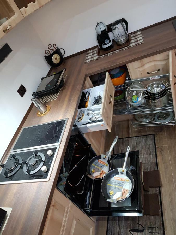Ella Apartment Timisoara No9 Bagian luar foto